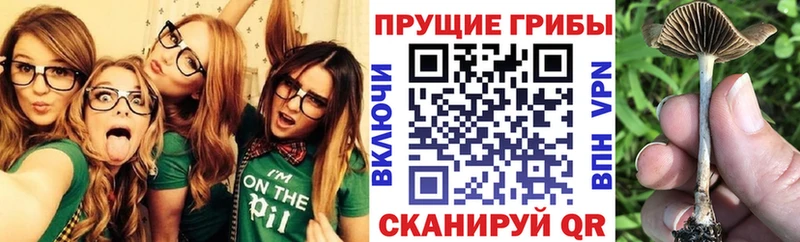 Галлюциногенные грибы MAGIC MUSHROOMS  Микунь 